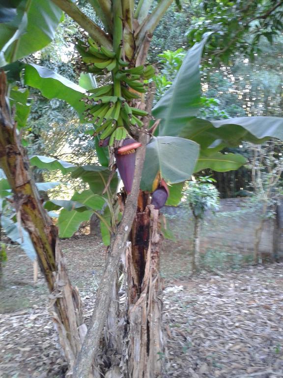 Pousada Sirius Sao Roque de Minas Luaran gambar
